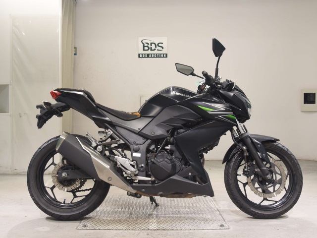 Kawasaki Z250 2013