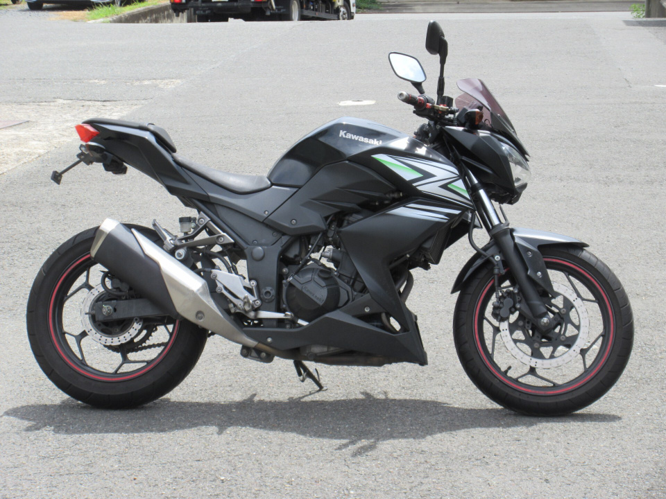 Kawasaki Z250 2013