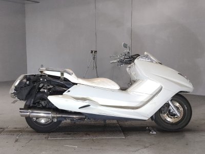 Yamaha MAGZAM 2007