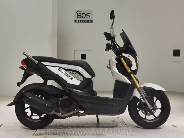 Honda ZOOMER-X 2013