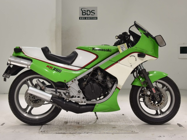 Kawasaki KR250