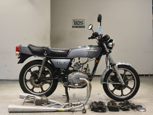 Kawasaki Z250FT