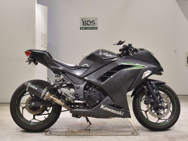 Kawasaki NINJA250 2016