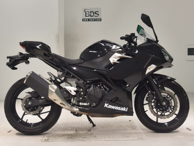 Kawasaki NINJA250 2019