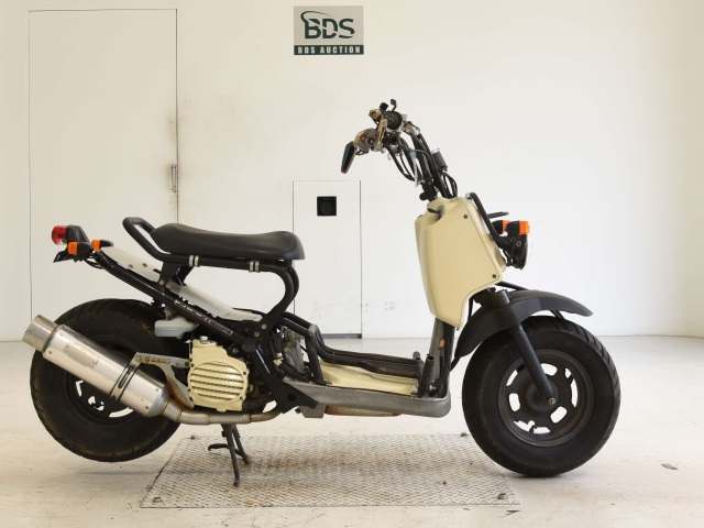 Honda ZOOMER 2007