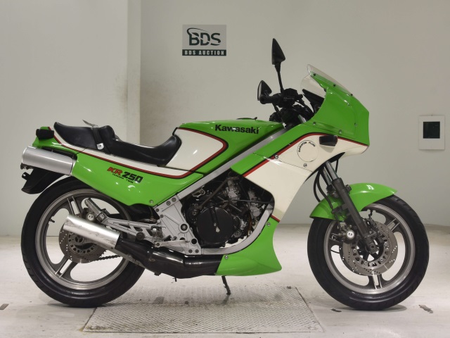 Kawasaki KR250 1984