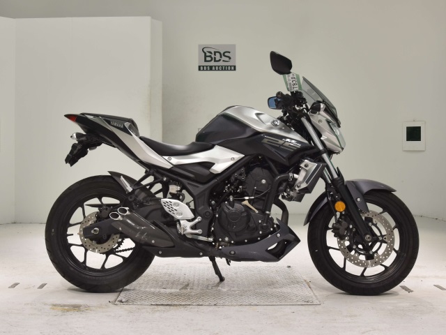 Yamaha MT-25 2017