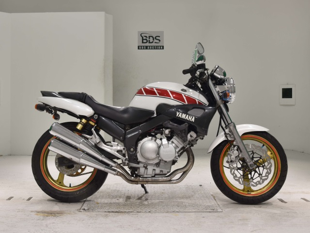Yamaha ZEAL FZX250 1992