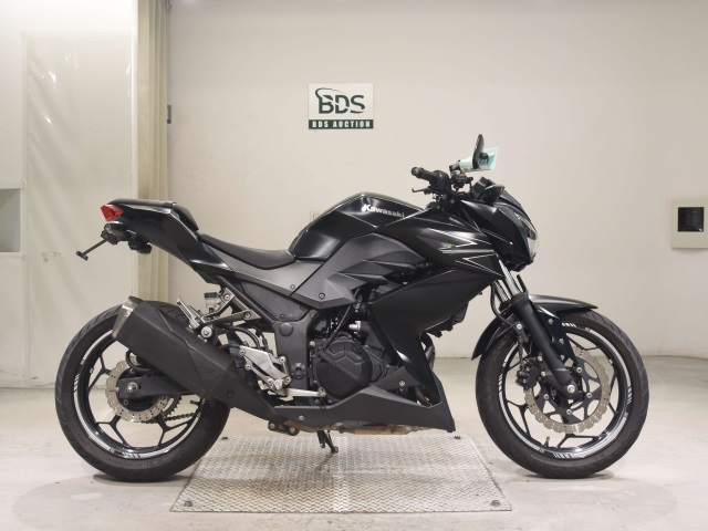 Kawasaki Z250 2013