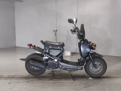 Honda ZOOMER 2009