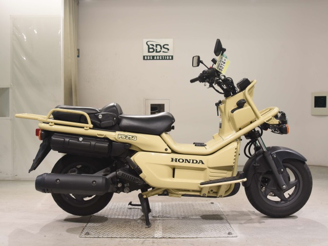 Honda PS250 BIG RUCKUS 2006