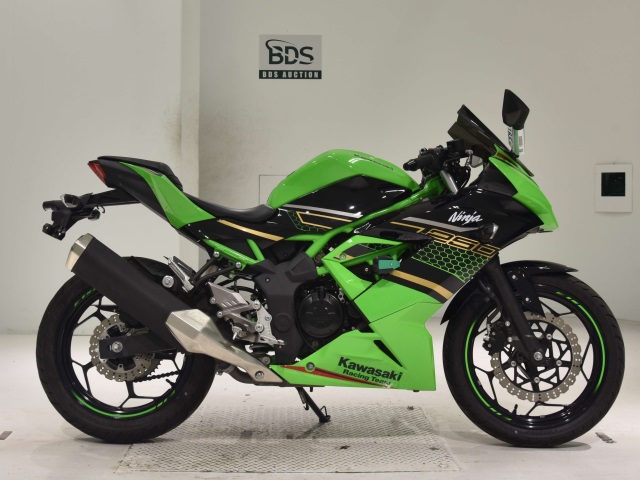 Kawasaki NINJA250 2020