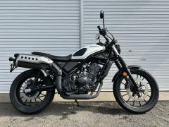 Honda CL250 2023