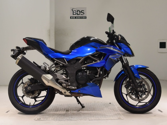 Kawasaki Z250SL 2016