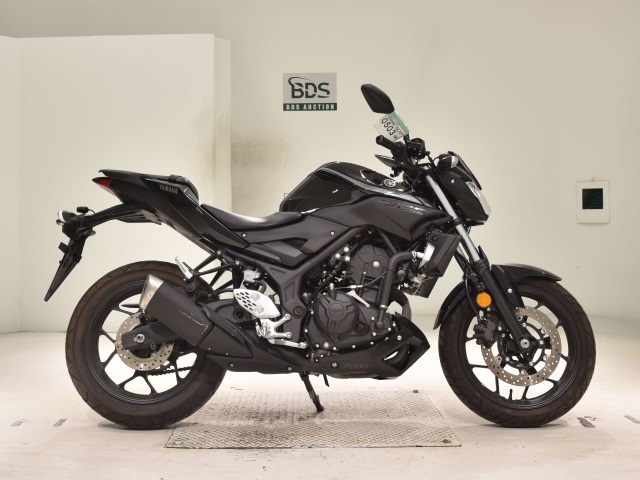 Yamaha MT-25 2019