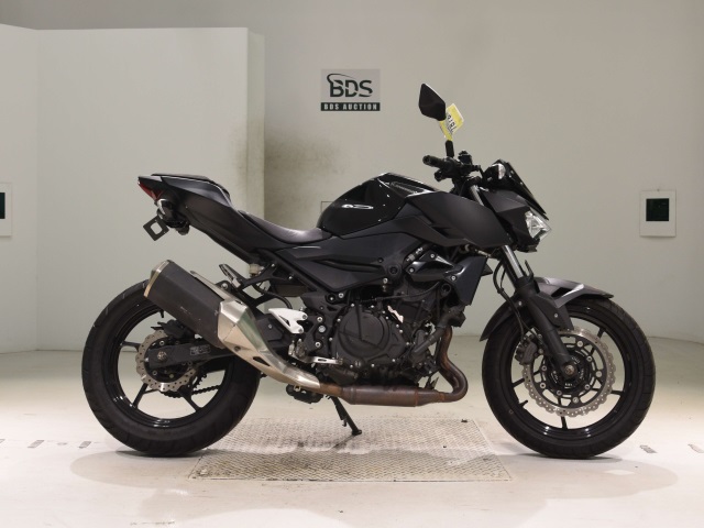 Kawasaki Z250 2019