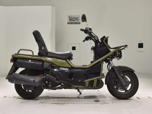 Honda PS250 BIG RUCKUS 2004
