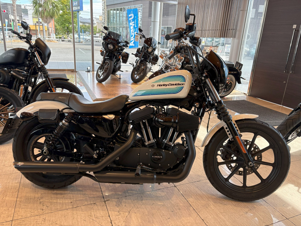HD SPORTSTER XL1200N 2019