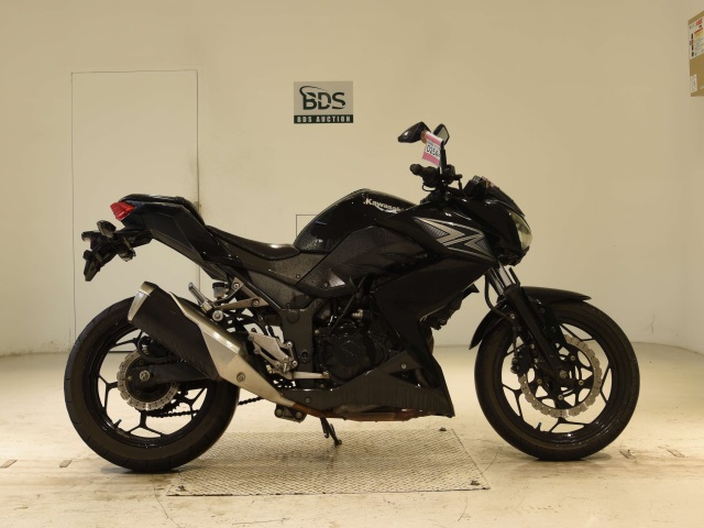 Kawasaki Z250 2013