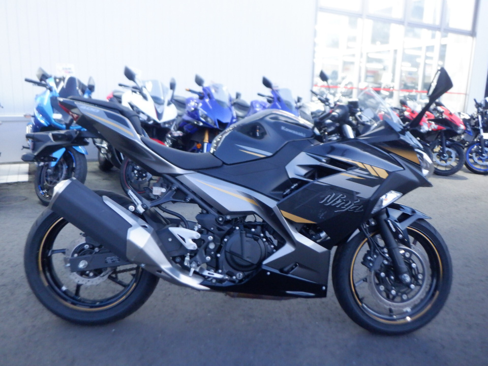 Kawasaki NINJA400 2022