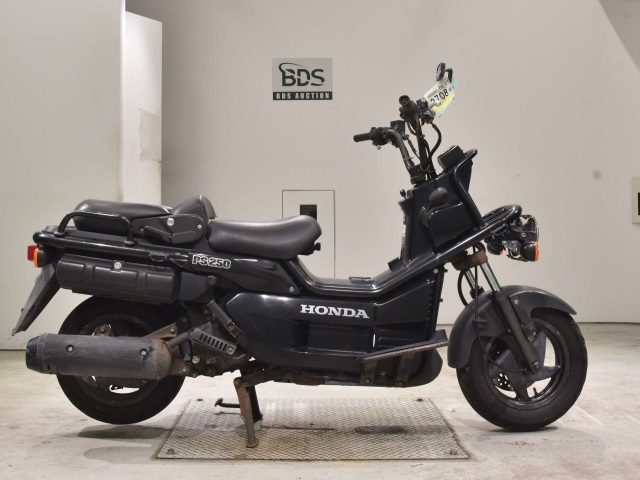 Honda PS250 BIG RUCKUS 2006