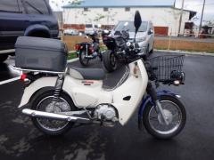 Honda SUPER CUB110 2020