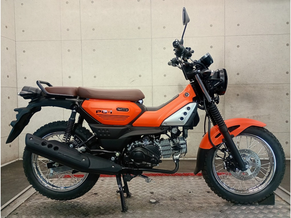 Yamaha pg-1 2024