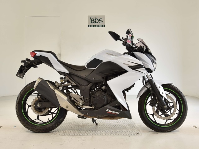Kawasaki Z250 2013