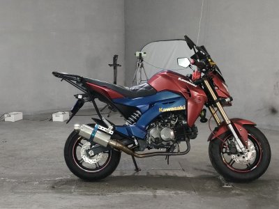 Kawasaki Z125 PRO 2016