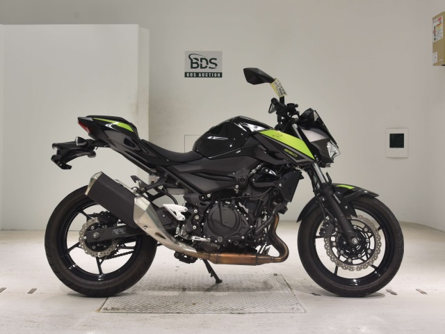 Kawasaki Z250 2022