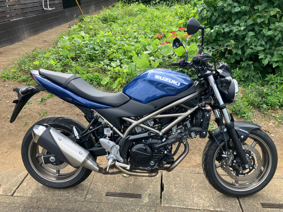 Suzuki SV650A 2024