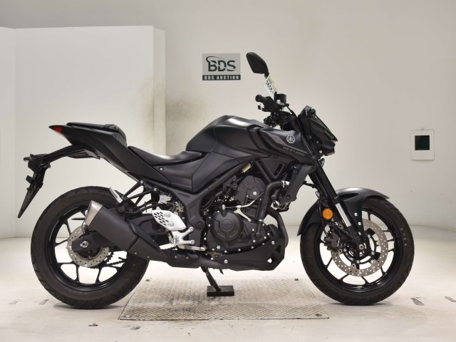 Yamaha MT-25 2022