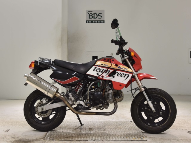 Kawasaki KSR110 2007