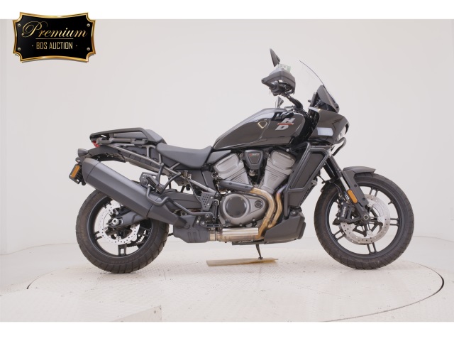 HD PAN AMERICA1250 2023