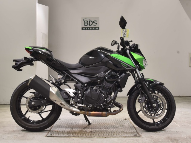 Kawasaki Z250 2023