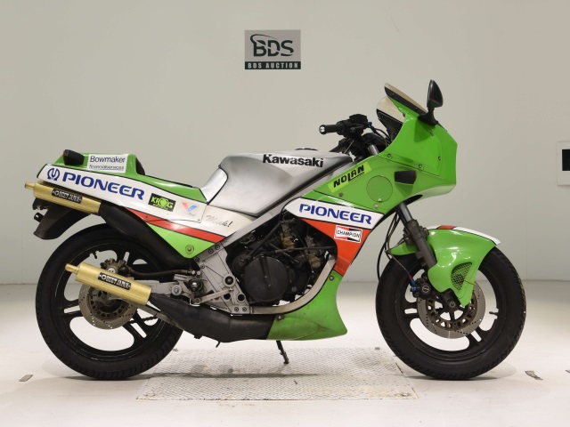 Kawasaki KR250