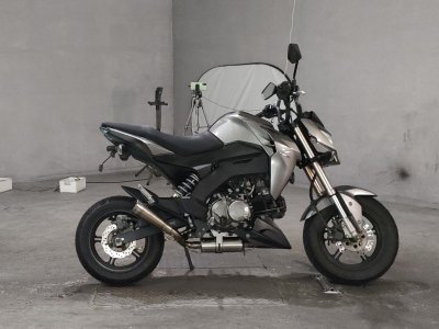 Kawasaki Z125 PRO 2016