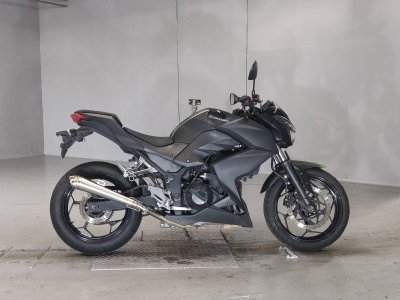 Kawasaki Z250 2013