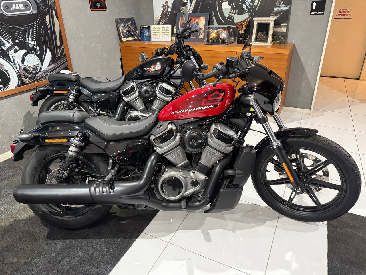 HD RH975 NIGHT STAR 2022