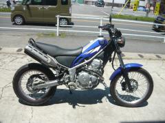 Yamaha TRICKER 2004