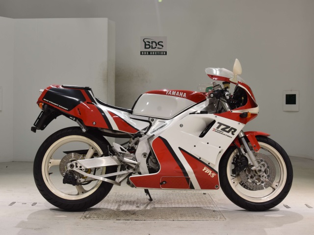 Yamaha TZR250RSP 1990