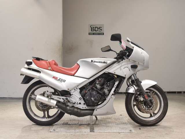 Kawasaki KR250