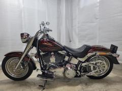 HD FATBOY FLSTF 2009
