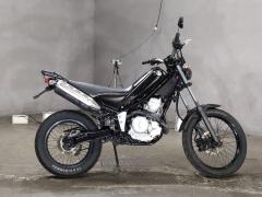 Yamaha TRICKER 2006
