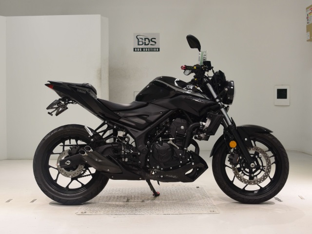 Yamaha MT-25 2019