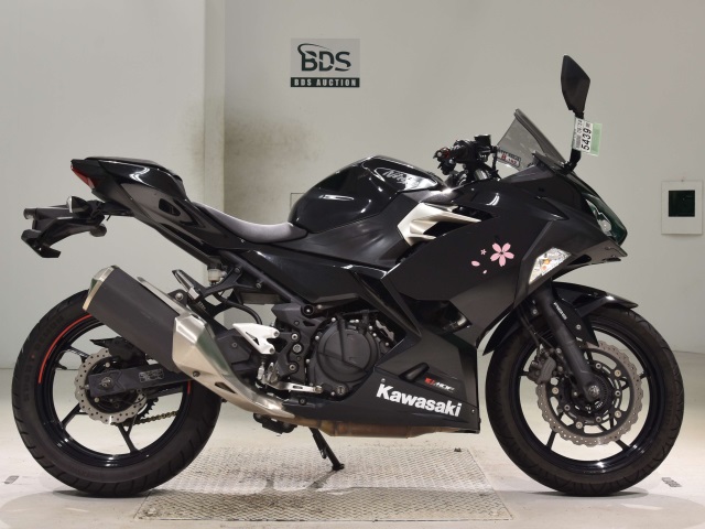 Kawasaki NINJA250 2019