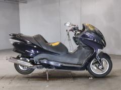 Honda FORZA Z 2005