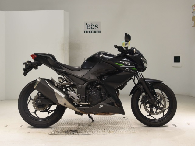Kawasaki Z250 2013
