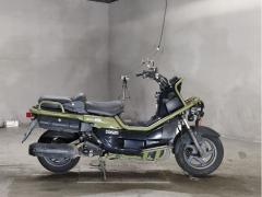 Honda PS250 BIG RUCKUS 2004