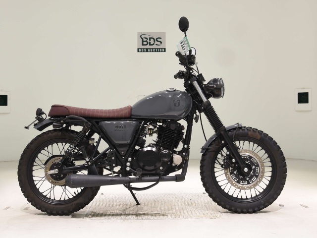Suzuki MATTE MOTORCYCLE 250 2019